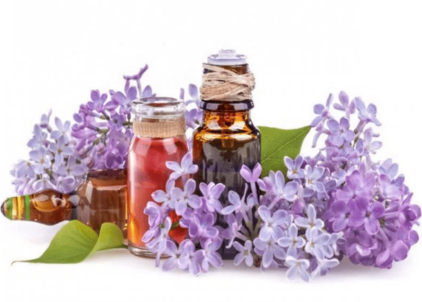 Lavender injection